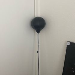 Punching Reflex Bag