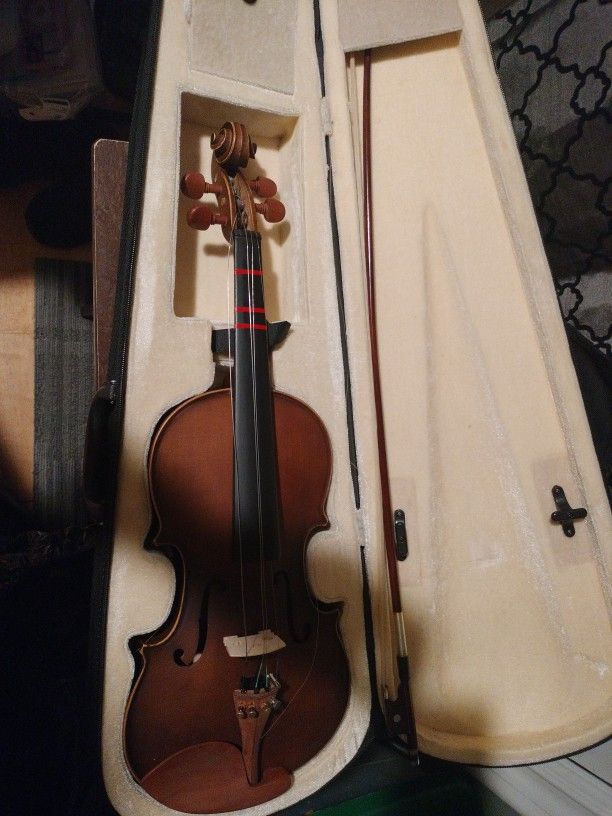 Violin