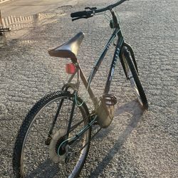 Ladies Bike 