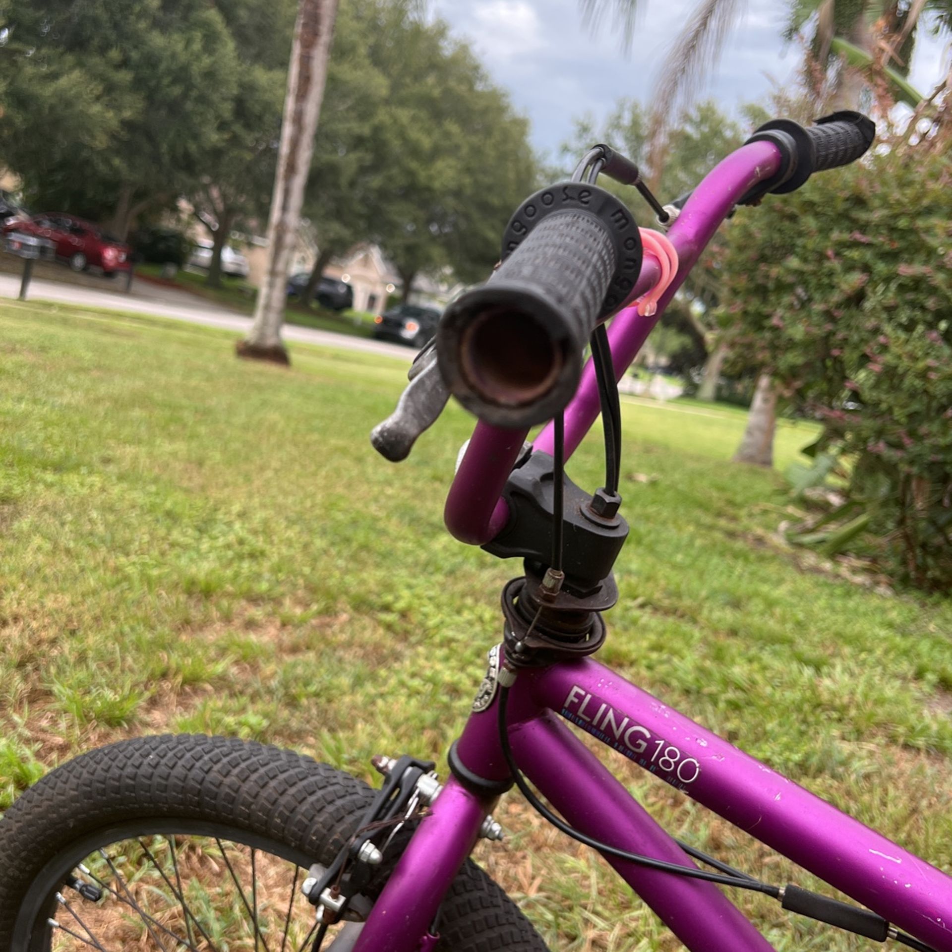 Fling 180 mongoose 2025