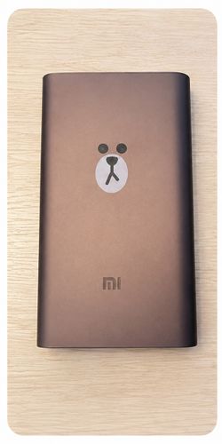 Power bank