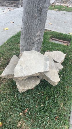 FREE 6 concrete stepping stones landscaping