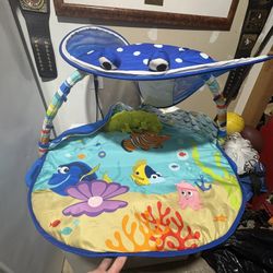 Infant Play Mat
