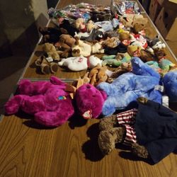 Beanie Baby Collection