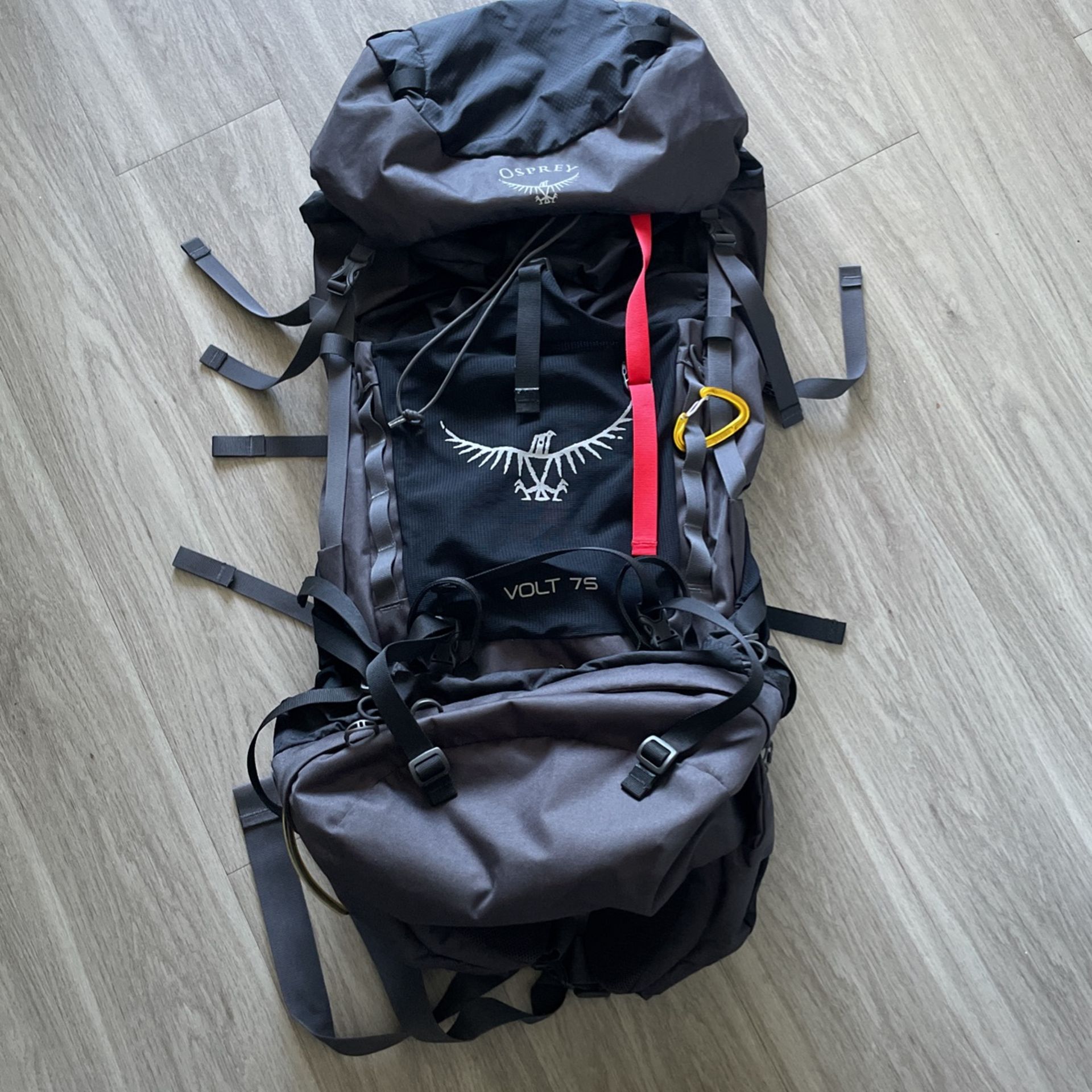 Osprey Hiking Backpack