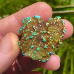 Turquoise 