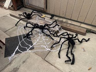 Last Minute Halloween Decorations!!!