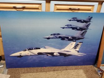 4ftx2.5ft. F14 TOMCAT PHOTO