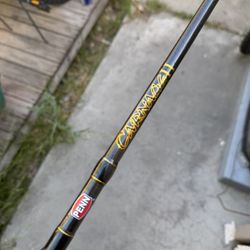 Fishing Rod Penn Carnage II 