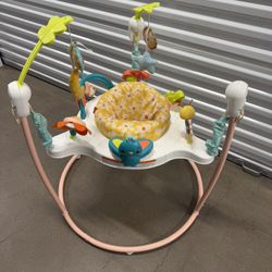 Fisher Price Baby Bouncer 