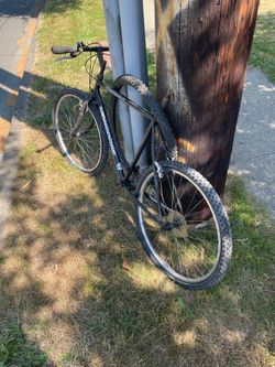 Free bike
