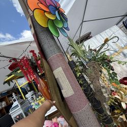 Carpeta Grande 6x 7 $45