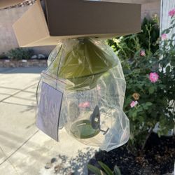 Bird Feeder