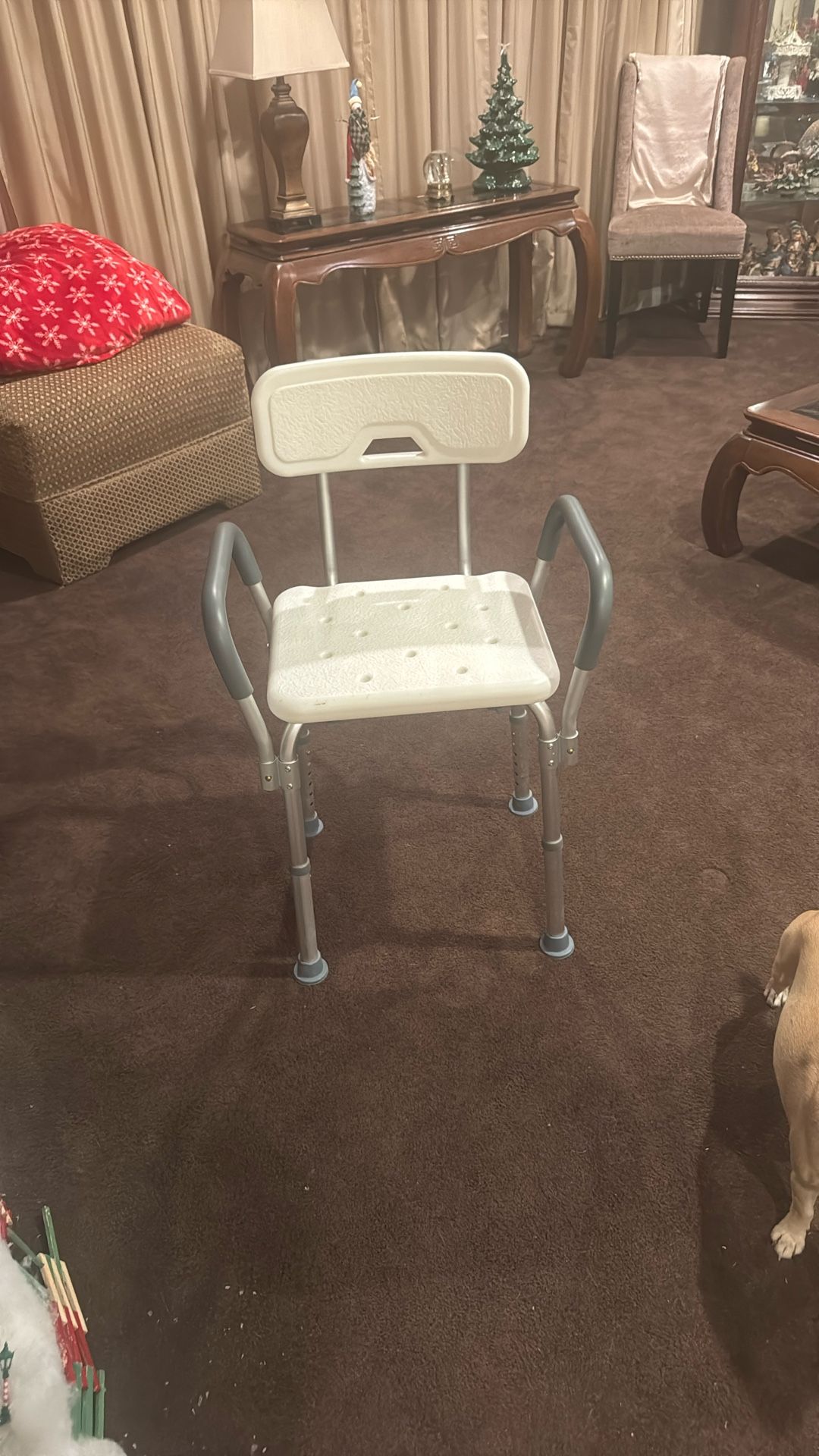 Shower Chair
