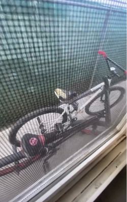 Throne bike and street bike