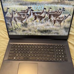 Msi Raider Ge76