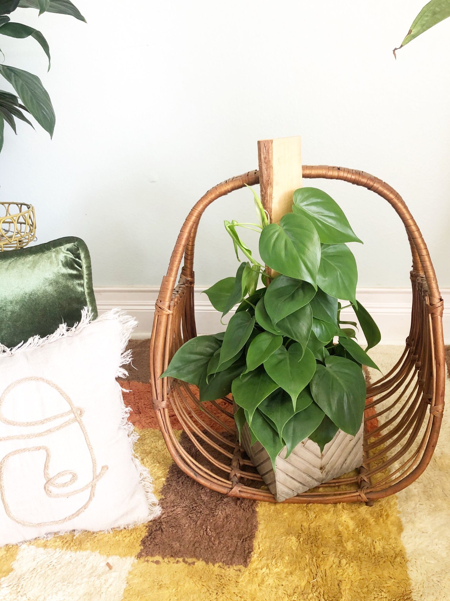 Rattan Planter/magazine Holder