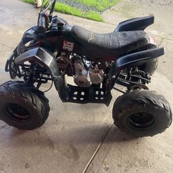 110cc Tao Tao Quad