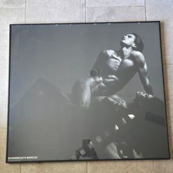 Victor Skrebneski - Chicago Film Festival Framed Photo Art Print 26x29" - Fashion Sexy Gay Interest