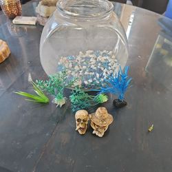 Fish tank with accessories.