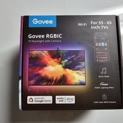 Govee Envisual LED Backlights TV
