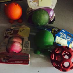 Pet Toys Brand New