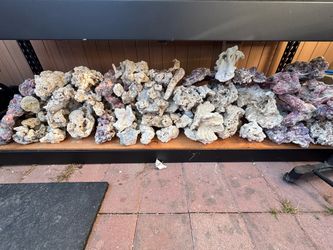 Reef Supplies