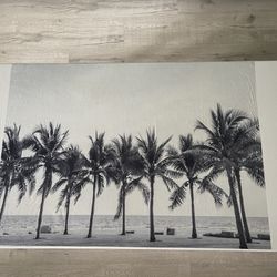 Palm Tree 🌴 Coffee Table