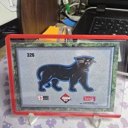 2093 Egge Card Carolina Panthers 