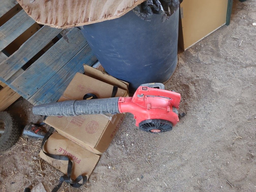 Leaf Blower Craftman