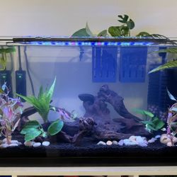 Full Aquarium Set Up