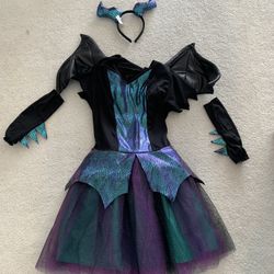 Girls Dragon Princess Costume Size 12-14