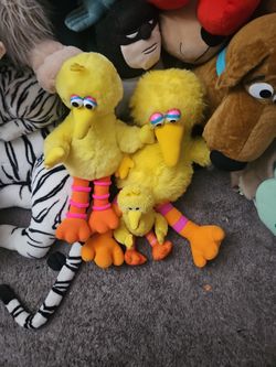 Big Bird Collection 