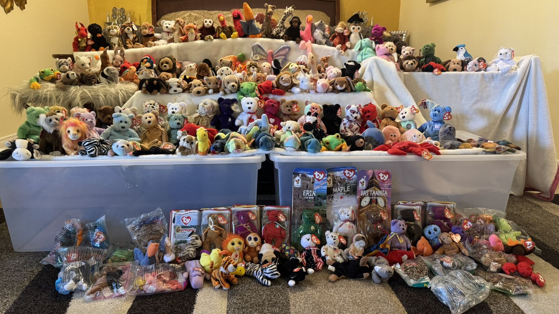 Beanie Baby Collection Aprox 200