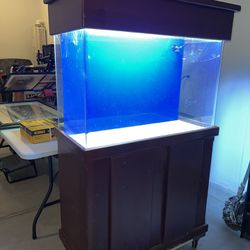 65 Gallon Acrylic Aquarium All In One