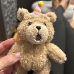 Ted 2 Blind Box plush keychain 