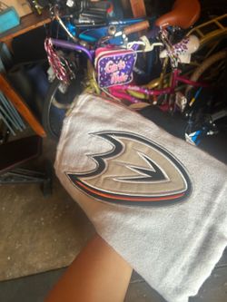 Ducks poncho