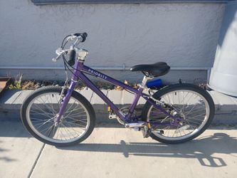 Boy's 20" priority start 3 speed belt drive Bike