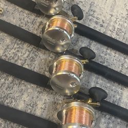 talica 20 2 speeds on custom 20/50 rods 
