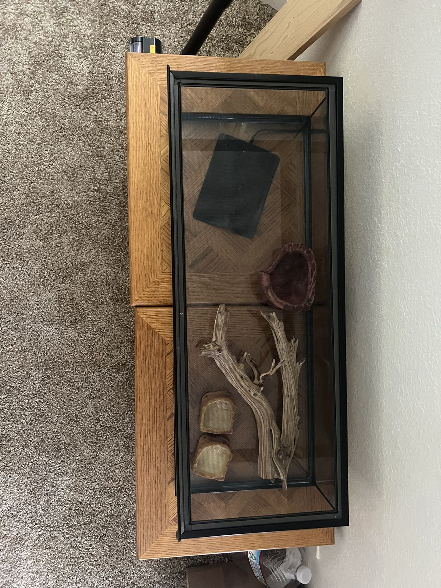 Reptile Terrarium