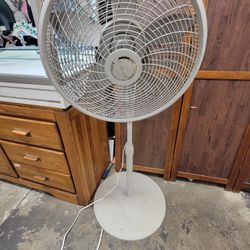 Lasko - Standing Fan