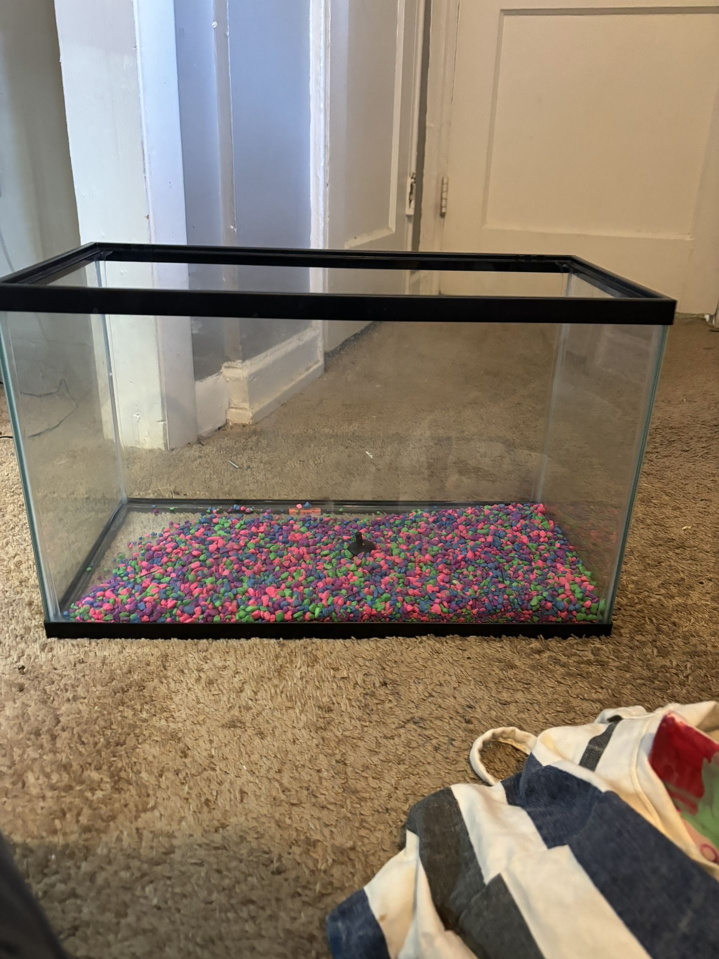 fish tank