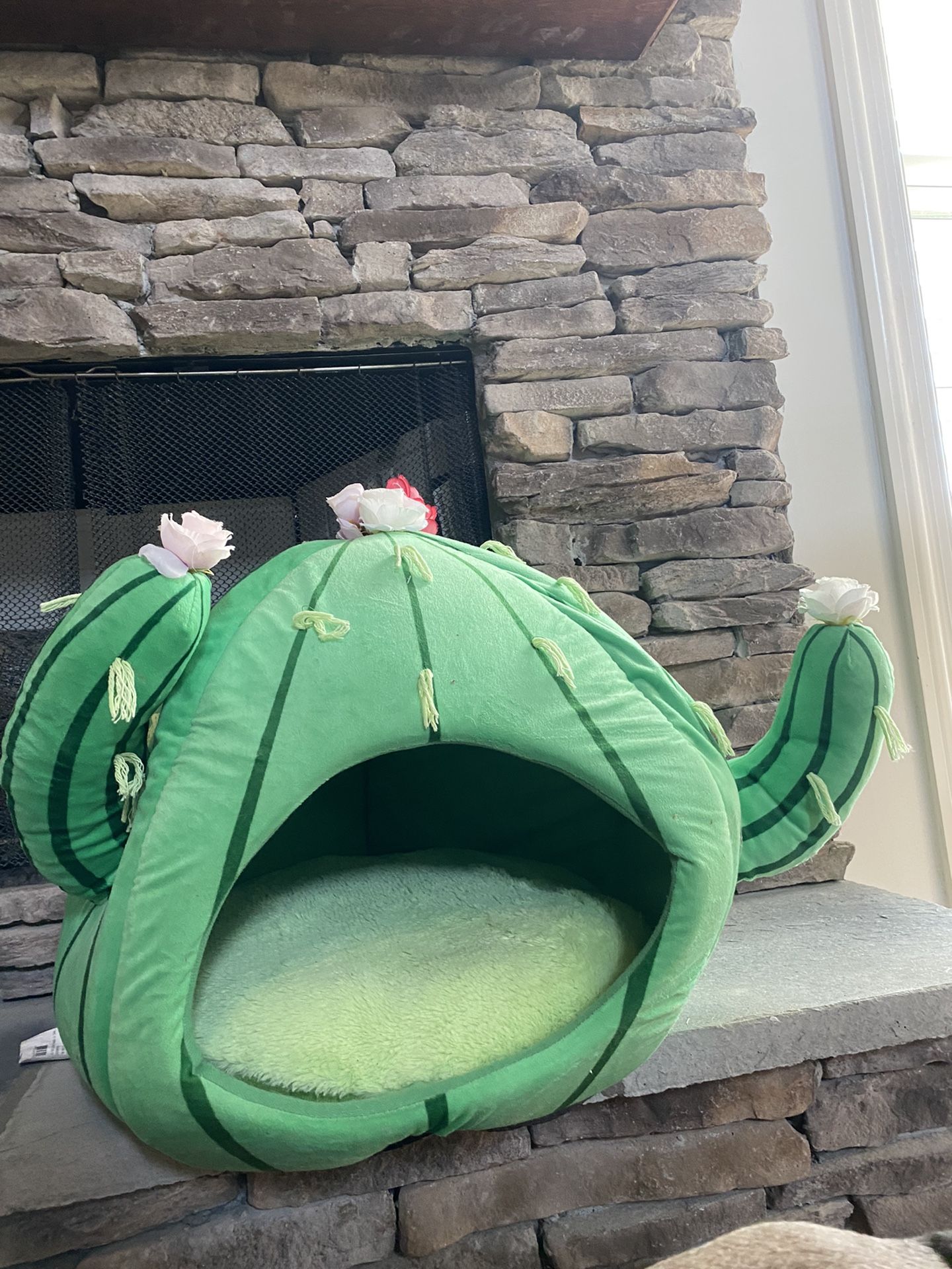 Cat/dog Bed Cactus