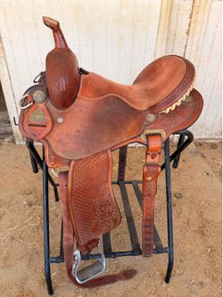 14.5  horse saddle cactus Charmaine James