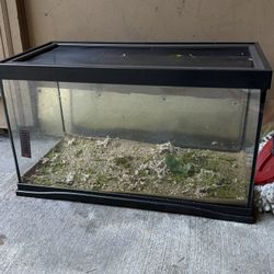20 Gallon Reptile Tank 