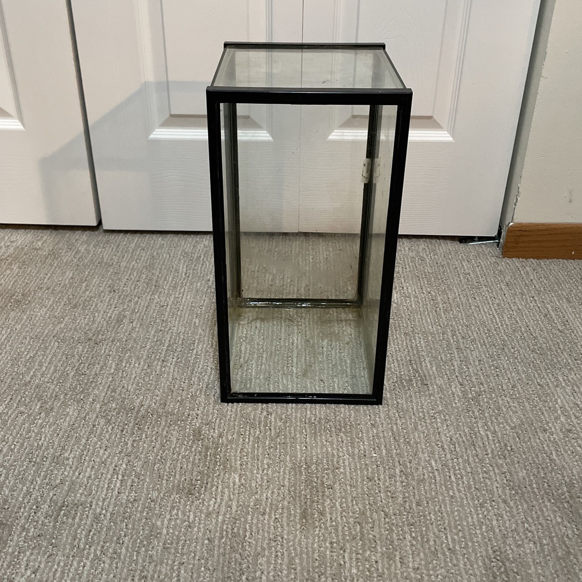 5 Gallon Tank