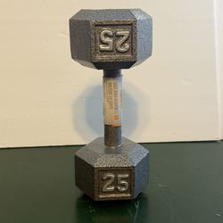 25 lb Cast Iron Dumbbell 