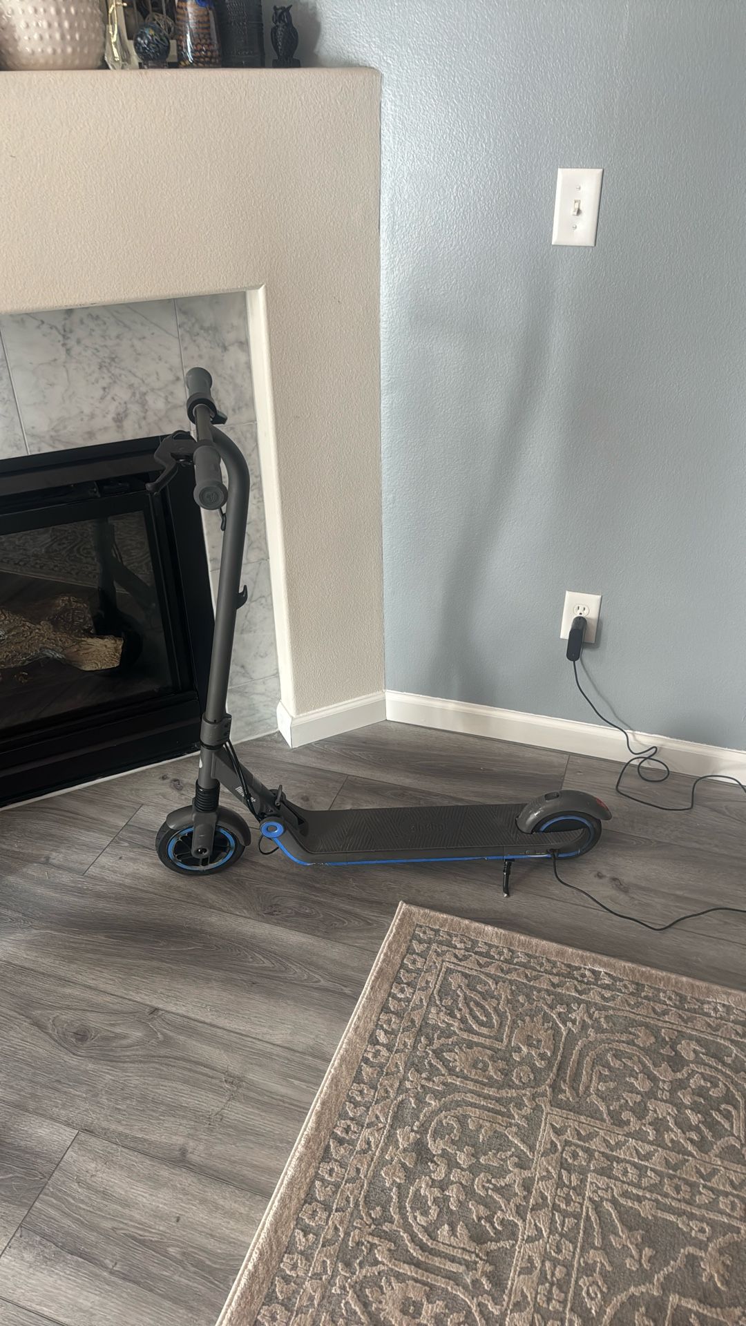 Ninebot Electric Scooter