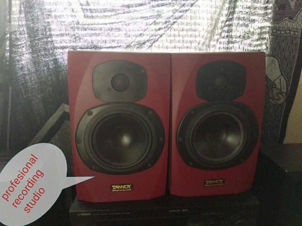 Professional recording studio speakers