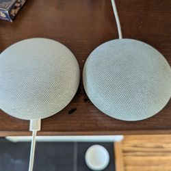 2 Google Home Minis